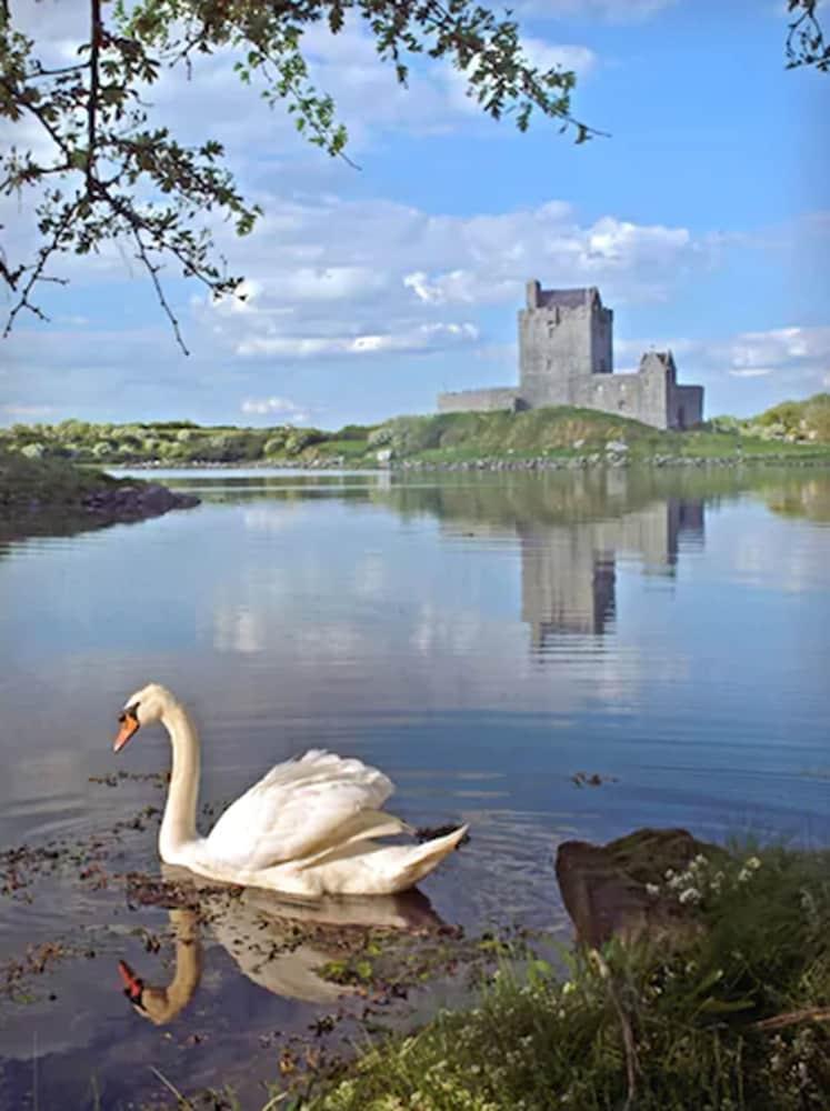 Merriman Hotel Kinvara Buitenkant foto